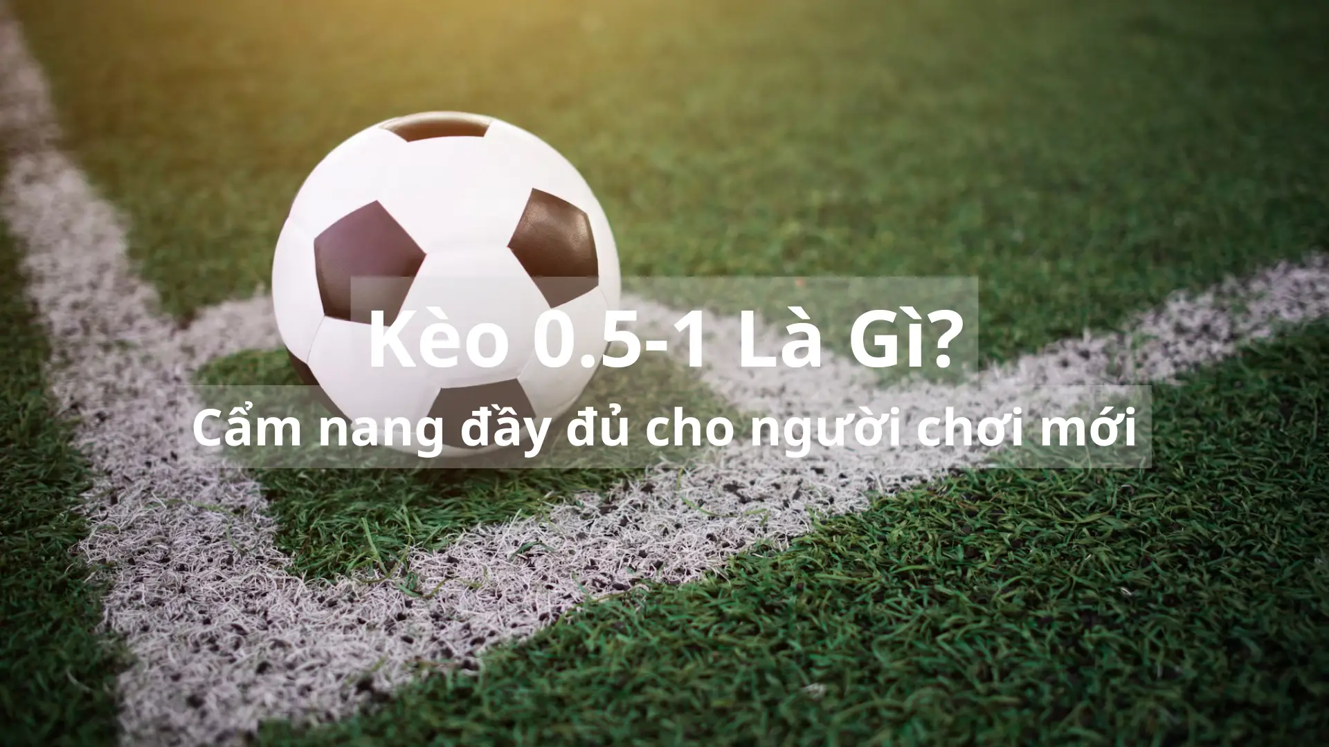 Kèo 0.5-1 Là Gì? Cẩm nang đầy đủ cho người chơi mới