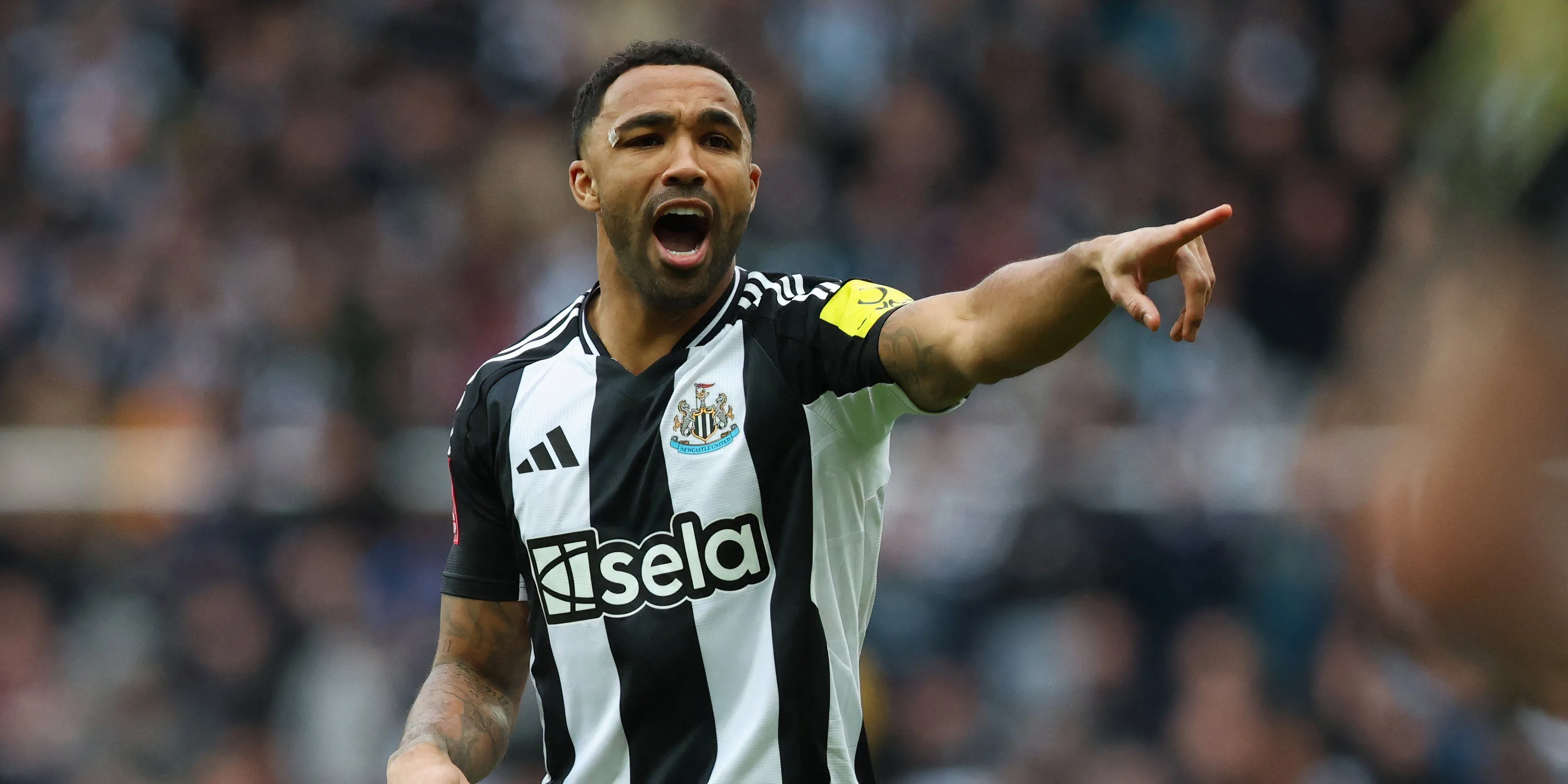 Tiền đạo kỳ cựu Callum Wilson của Newcastle United